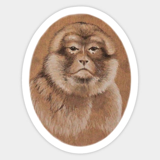 Barbary Macaque Sticker by kc-art